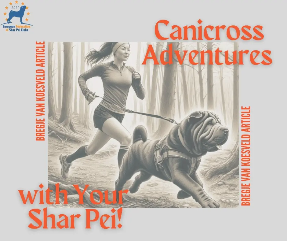 Canicross Adventures with Your Shar Pei